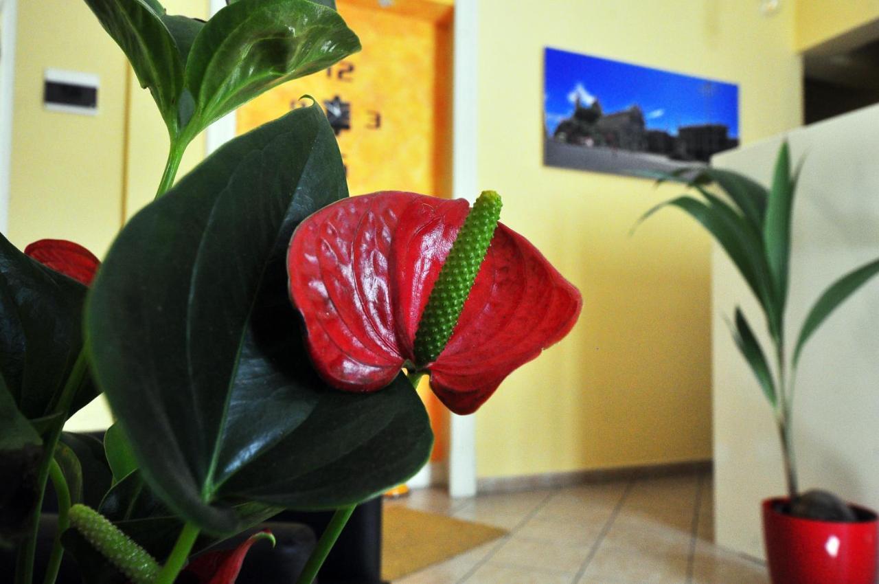 B&B Da Ri Katanya Dış mekan fotoğraf